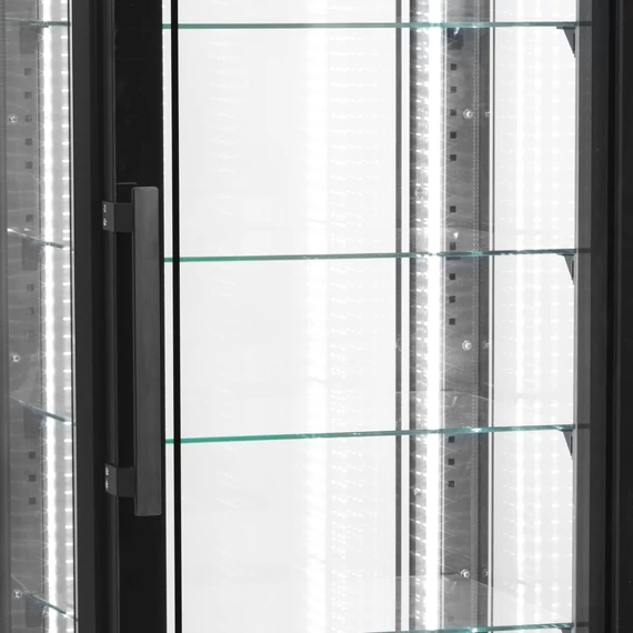 Hűtött bemutató vitrin (fagyasztás ) – 248 L – rozsdamentes (inox)